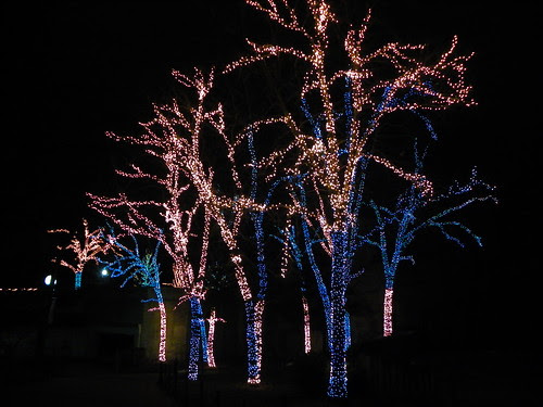 Chicago Lincoln Park Zoo  Lights 12.13.2009 (28)