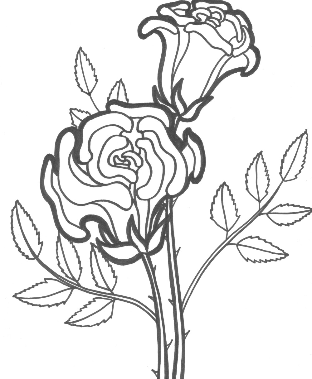 Lovely Rose Coloring Pages Free Printable | Thousand of the Best ...