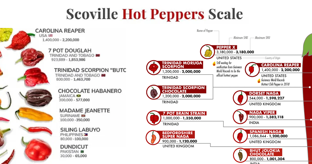 Infographic : Scoville Hot Pepper Scale