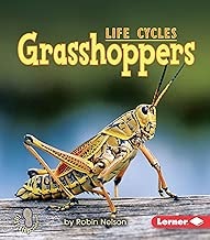 grasshoppers