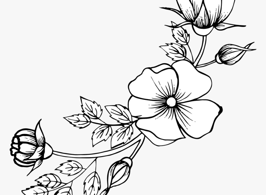 Flowers Png Drawing / Flower Line Drawing Png Images Vector And Psd