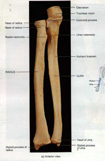 Medical Journals: Sheet number six