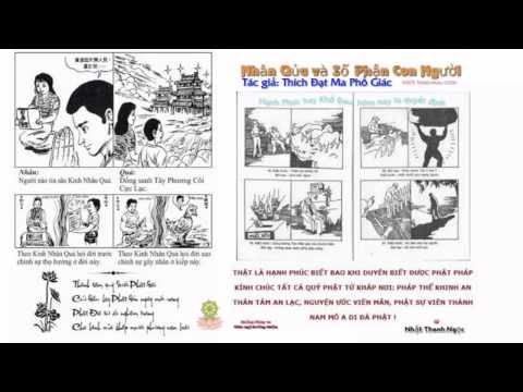 Nhân Quả Và Số Phận Con Người