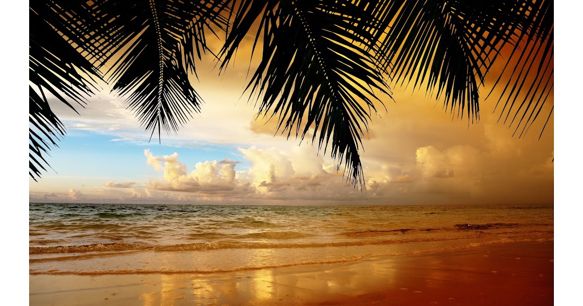 You Wont Believe This 23 Reasons For Background Sunset Beach