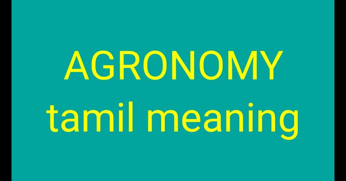 meaning of impact in english and tamil