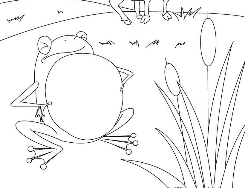 La Grenouille Et Le Boeuf Dessin Facile Coloriage La Grenouille Et Le Boeuf Pour Enfant | 30000 ++ collections