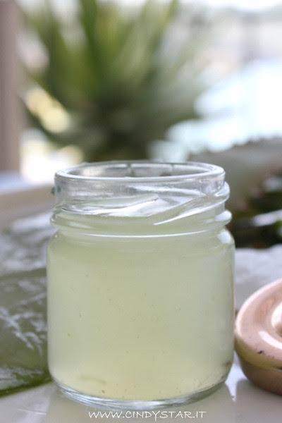 succo aloe