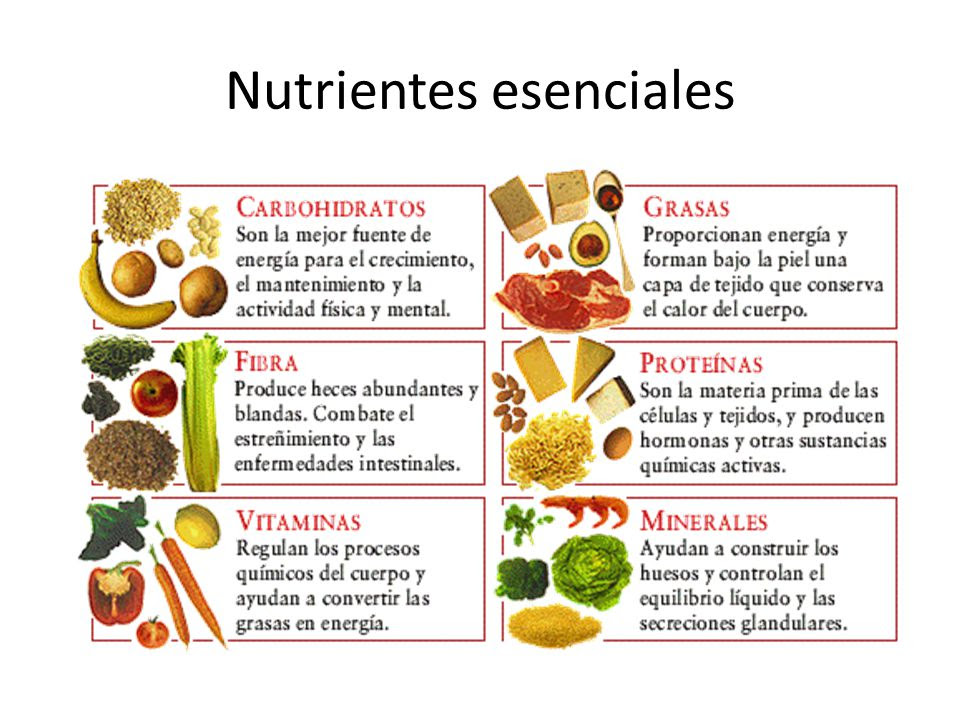 Ciencias 1 Nutrientes De Los Alimentos 4905