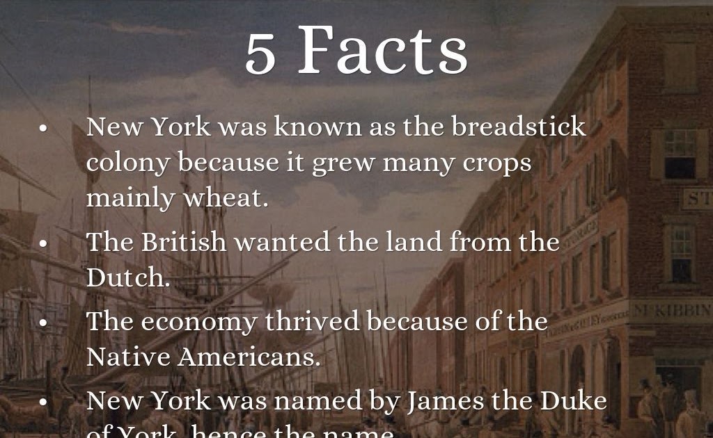 Fun Facts About The Colony Of New York - Fun Guest