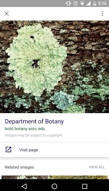 which of the following is not an example of a symbiotic relationship between organisms
