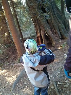 8Dec13: family hike