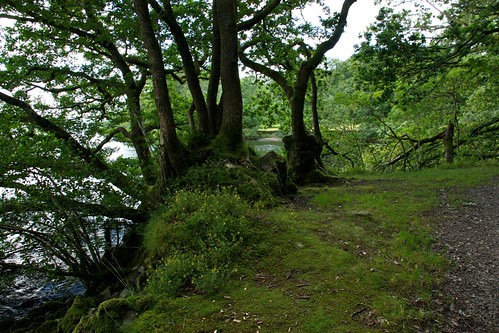 Path along Windermere