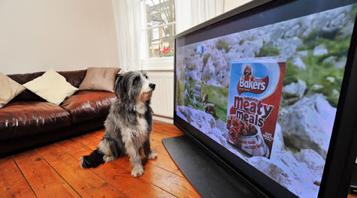 anuncio de tv para cães