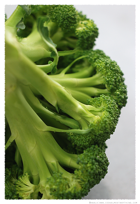 broccoli© by Haalo