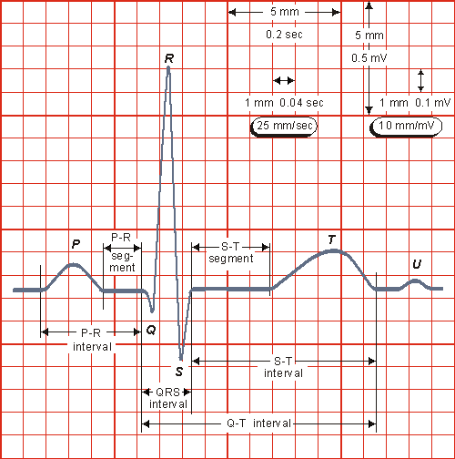 elektrokardiogram-ekg-mediblock