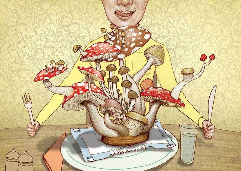 daipermushroomsFINAL
