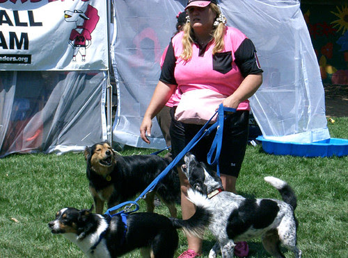 flyball brunhilda