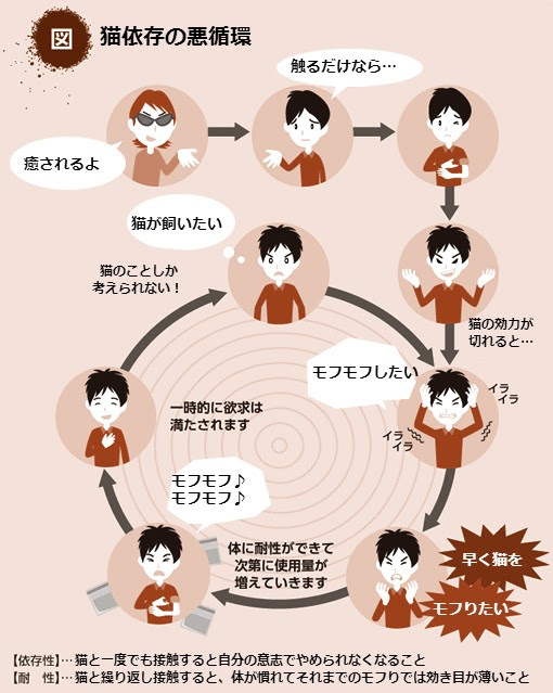 すべてのカタログ フレッシュ 猫 依存 症