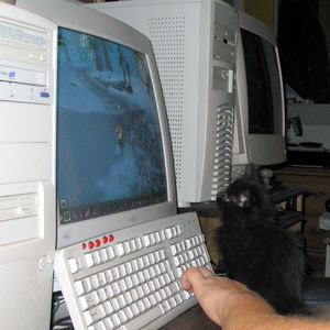 Ursus helping R to play World of Warcraft