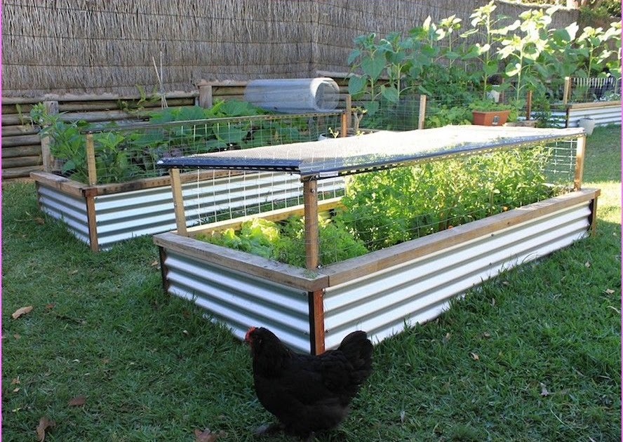 Design My Raised Garden Bed ~ 239dipdesign