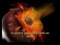 How the Moon was born?