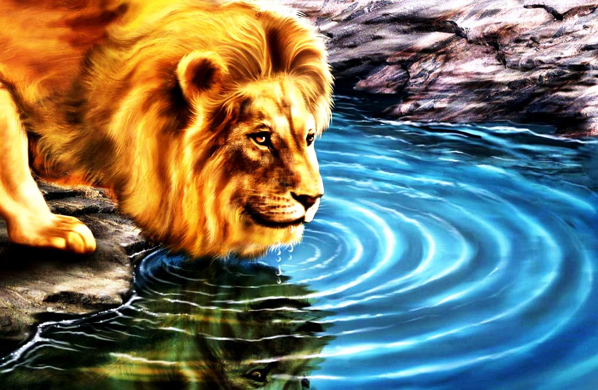 3d Wallpaper Download Lion Image Num 20