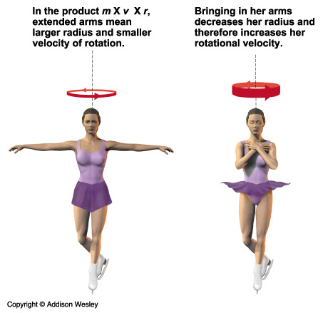 Vector quantity - ..:Physics 30 - {Unit I - Vector & Scalar Quantities