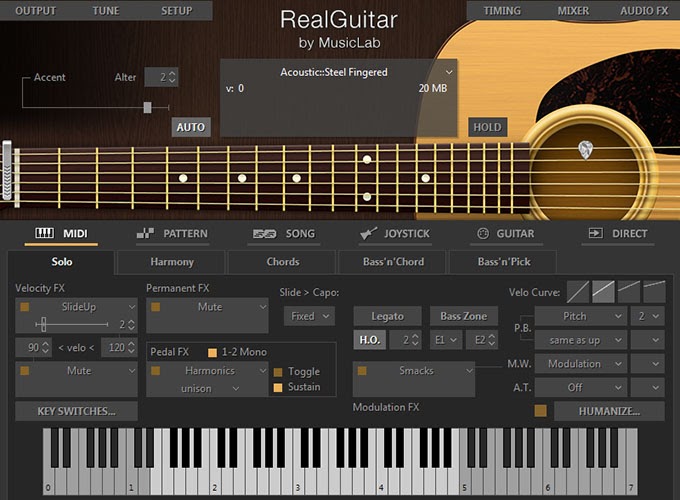 Guitar