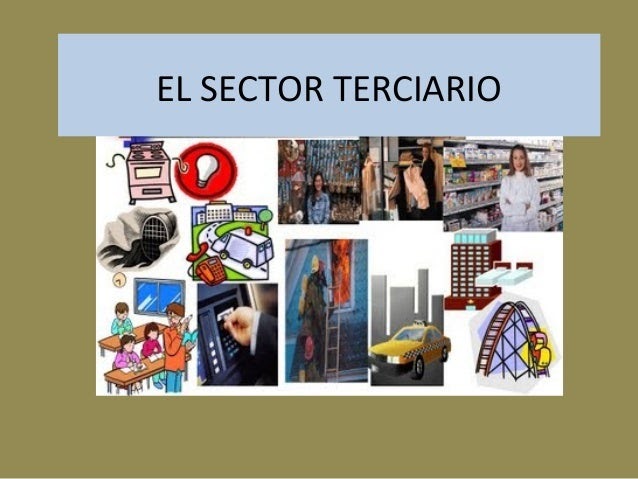 proyectosociales: El sector terciario: 8 entrada