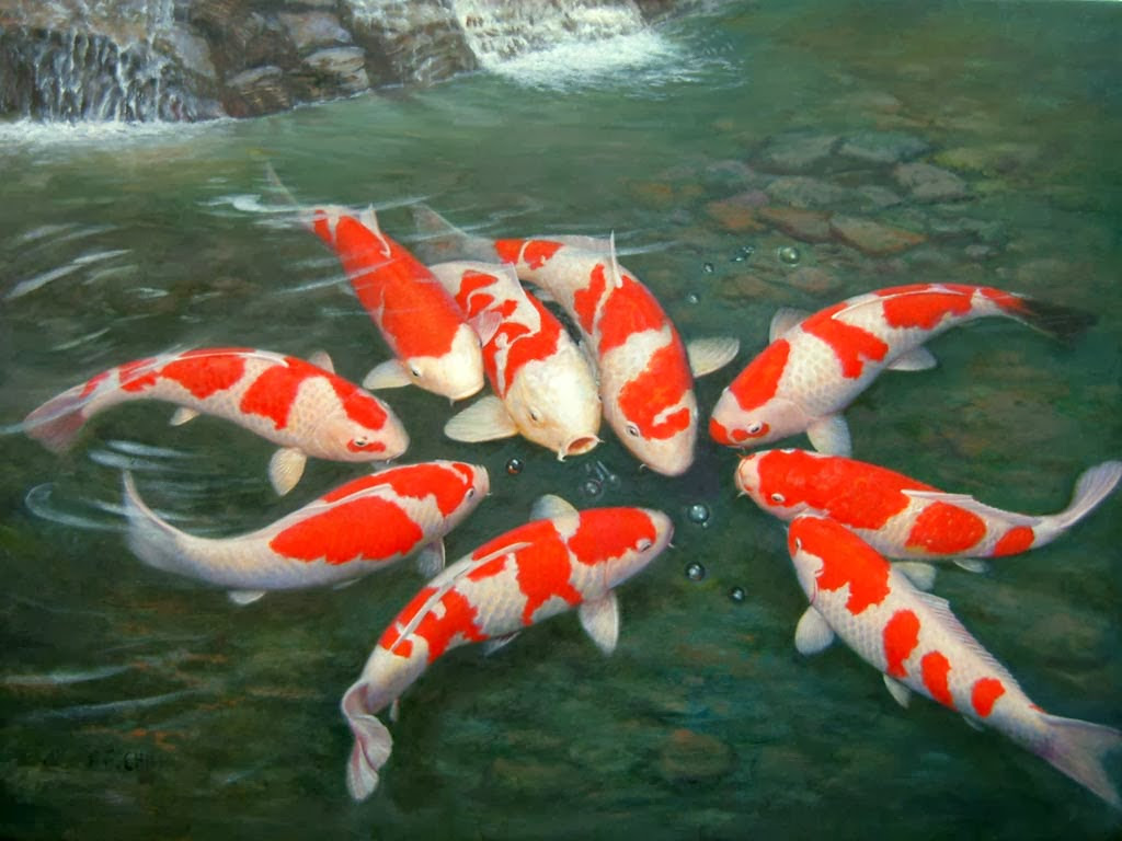 Koleksi Dp Bbm Bergerak Lucu Ikan Kocak Dan Gokil Puzzle Koleksi Dp Bbm Bergerak Lucu Ikan Kocak Dan Gokil Puzzle