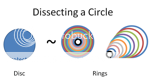 Dissecting a Circle