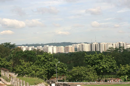 Picture 013a