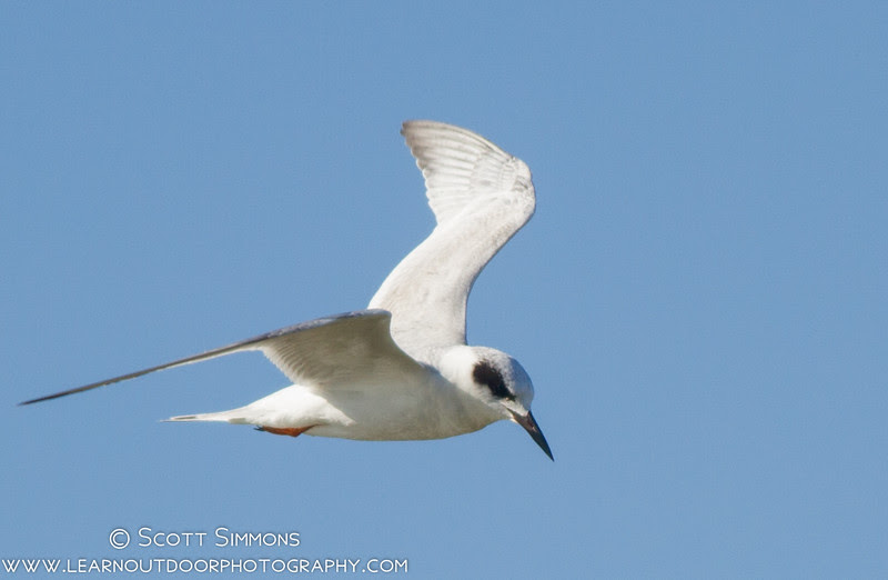 Photo & Video Sharing by SmugMug Photo & Video Sharing by SmugMug