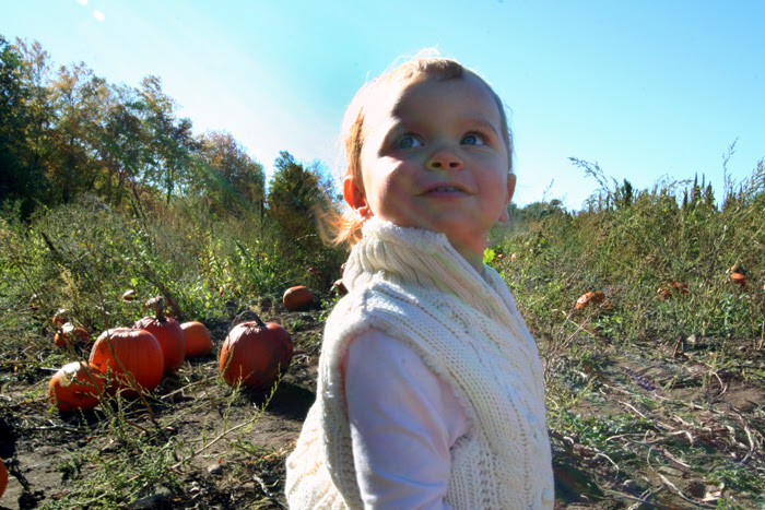 pumpkin2.jpg