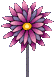Spinning Flower