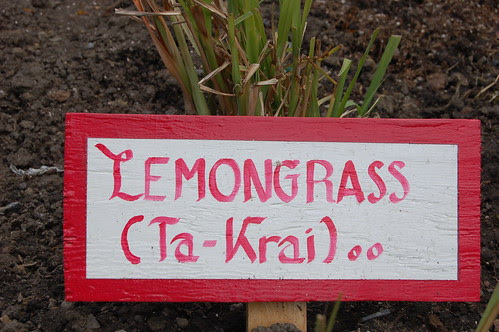 Lemongrass