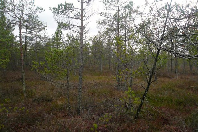 P1240952