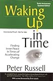 Waking Up In Time: Finding Inner Peace In Times of Accelerating Change