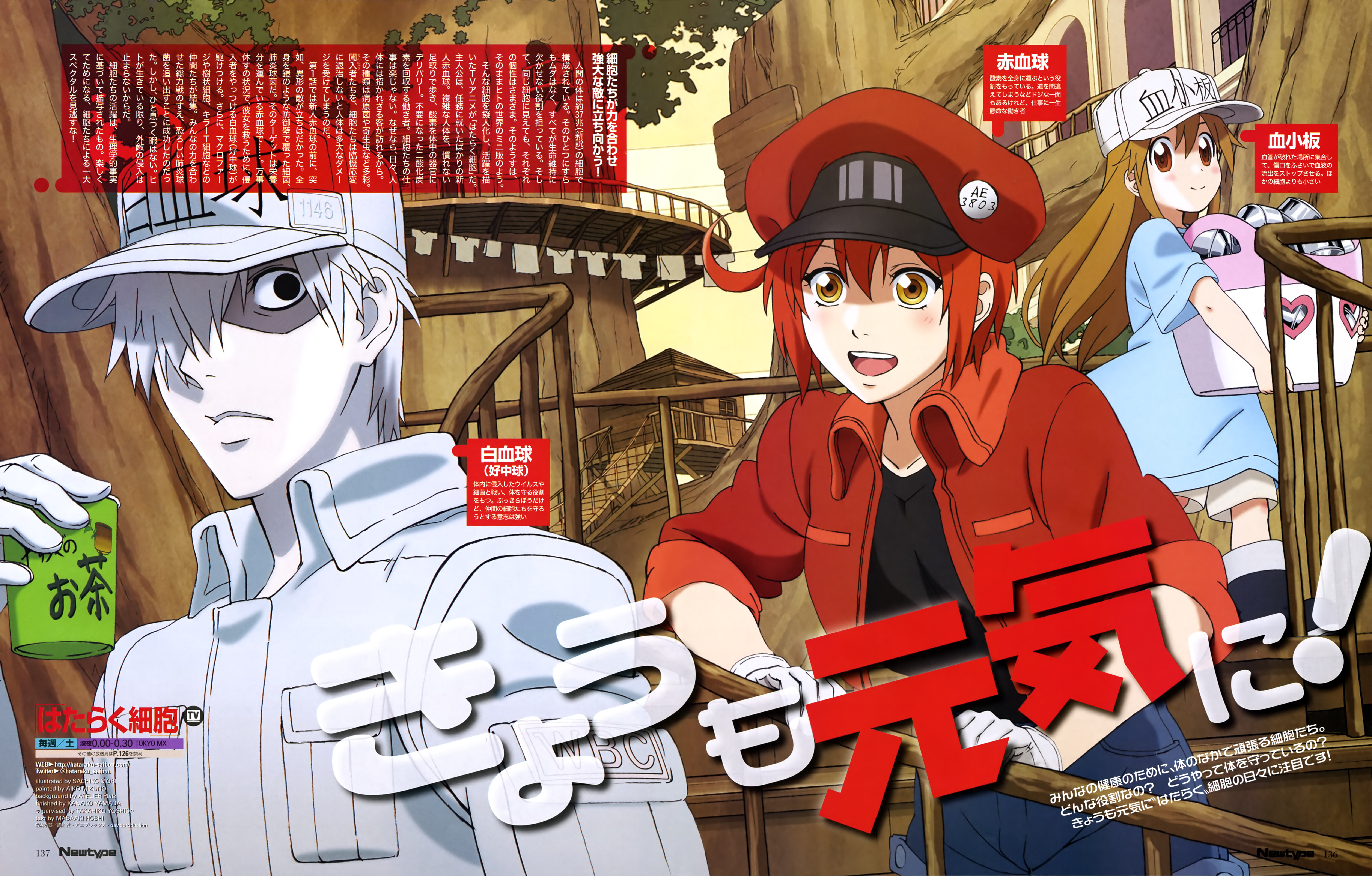 16 Download Wallpaper Anime Hataraku Saibou Baka Wallpaper Download wallpaper anime hataraku