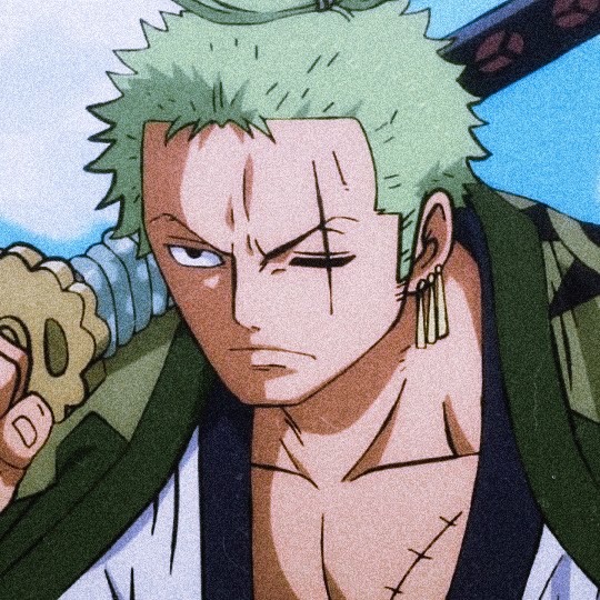 Zoro Pfp : Amazon Com Zoro Wanted Poster : Sekula drljevic/unknown
