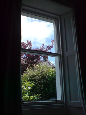 Hamster's view