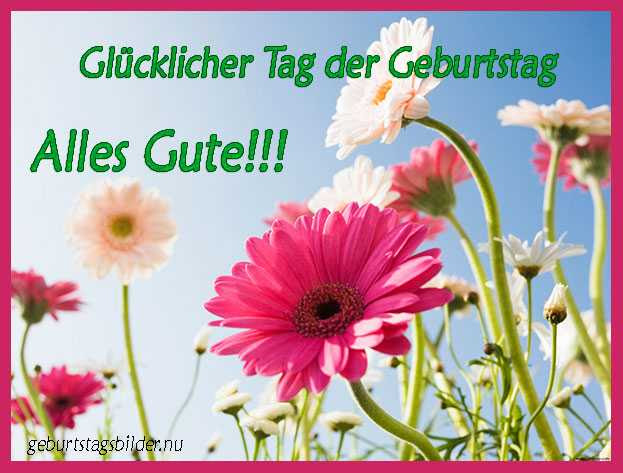 34 Geburtstagsbilder Mit Blumen Besten Bilder Von Ausmalbilder