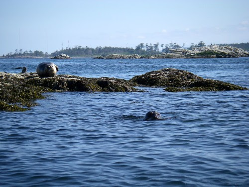 Seals