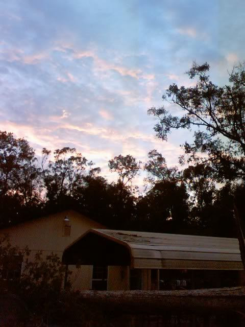 After the Storm II