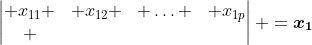 \begin{vmatrix} x_{11} & x_{12} & \hdots & x_{1p}\\ \end{vmatrix} =\boldsymbol{x_1}