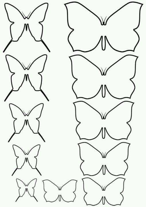 butterfly pattern
