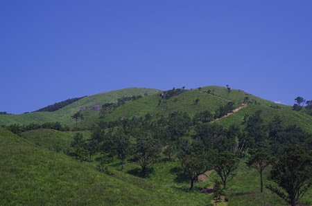 IMGP1647