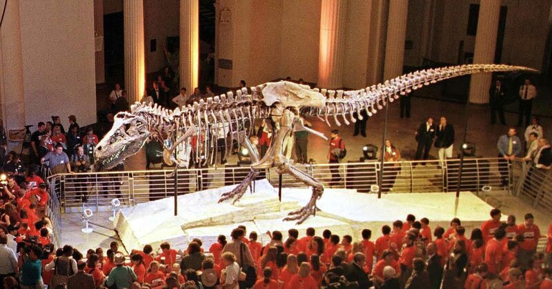 "Sue," the Tyranosaurus rex skeleton, is one of the most famous exhibits at Chicago's Field Museum of Natural History