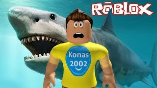 Roblox Burger King Obby Codes For Roblox Youtube For Robux No Survey
