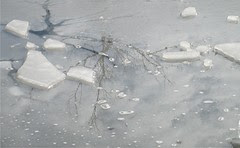 Ice Puddle by Teckelcar